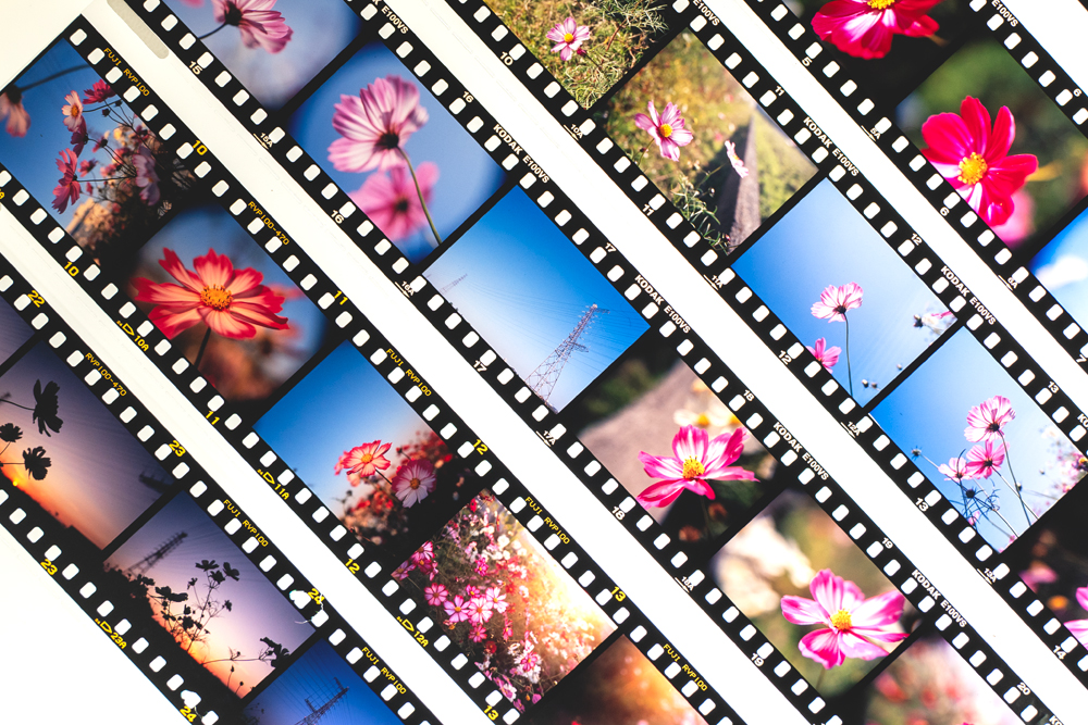 おすすめ35mmフィルムランキング【2026年最新】｜ネガ・リバーサル