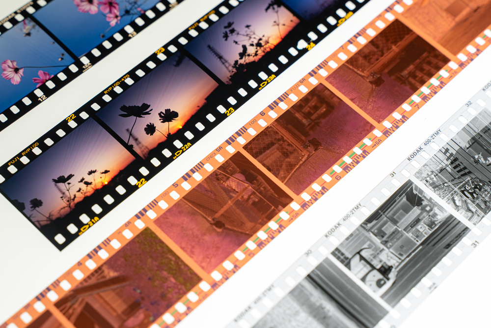 おすすめ35mmフィルムランキング【2026年最新】｜ネガ・リバーサル